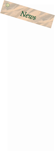 newsbanner